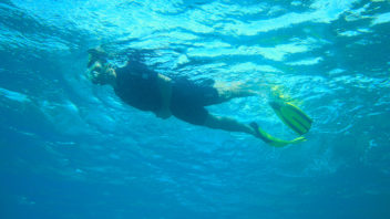 Randonnée Palmée - Snorkeling
